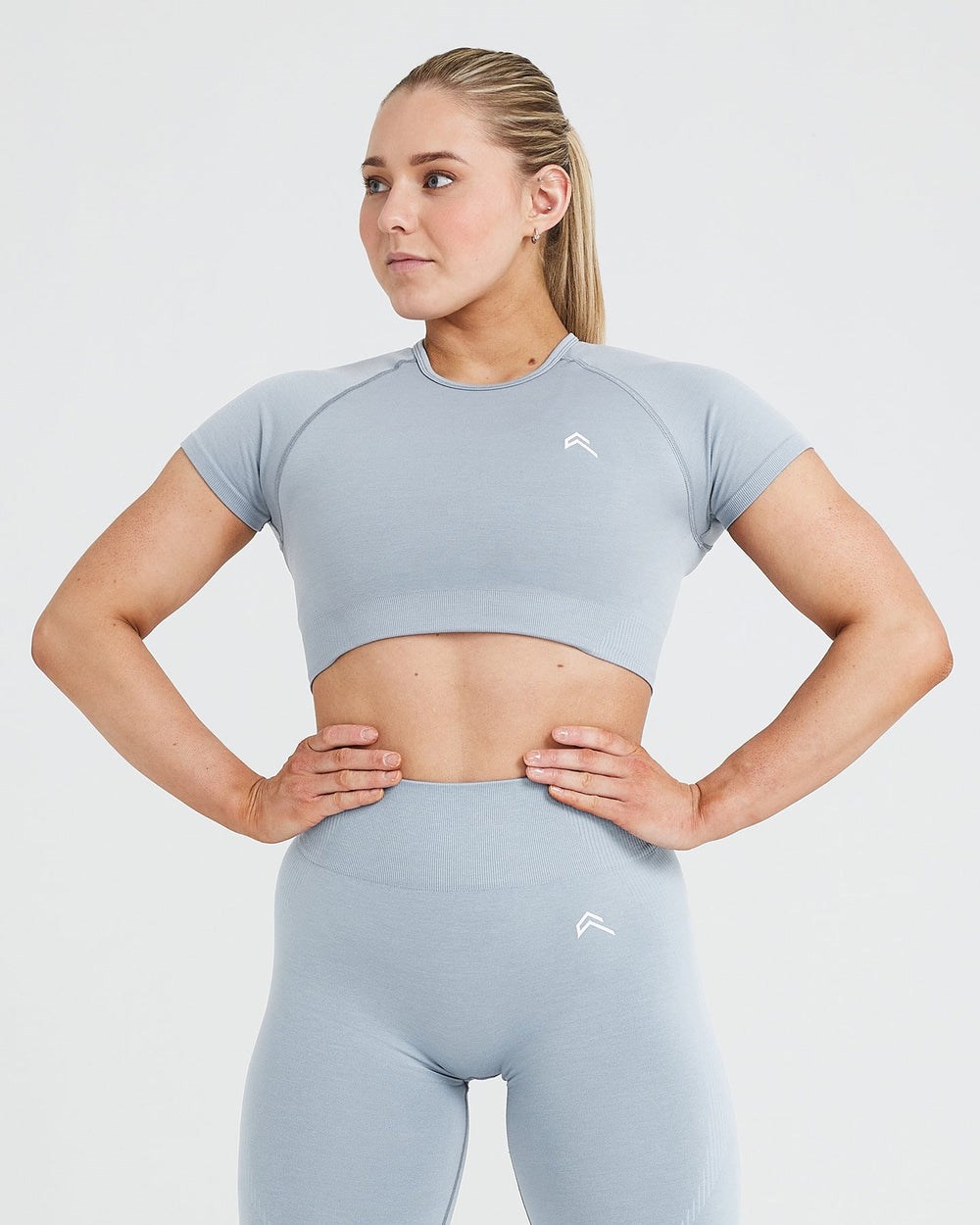 Oner Active Klassische Seamless 2.0 Kurzes Sleeve Crop Top Grau | 74YDKUVRA