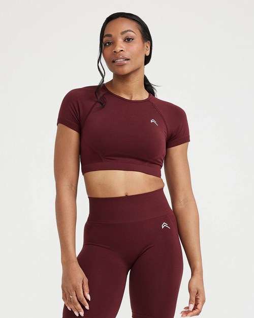 Oner Active Effortless Seamless Kurzes Sleeve Crop Top Rosewood | 17TOCZSKF