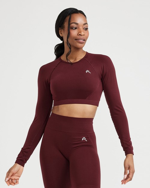 Oner Active Effortless Seamless Long Sleeve Crop Top Rosewood | 36MHNZSJE